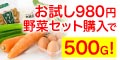 �ő�1000G�v���[���g