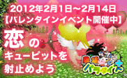 期間限定福袋!レアアイテム入り