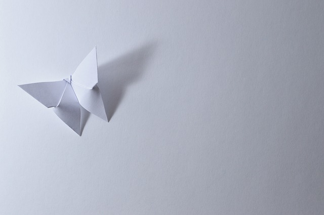 Origami Payの魅力とは?仕組みや加盟店・これからの普及について解説