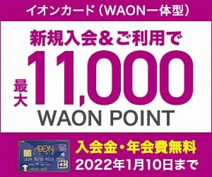 イオンカードのサービス利用でポイントをためる ｇポイント