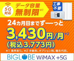 kokangenwaku_BIGLOBE WiMAX +5G