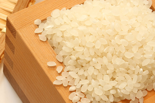 魚沼産コシヒカリ