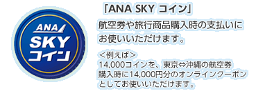 uANA SKY RCvq󌔂◷siw̎xɂg܂B