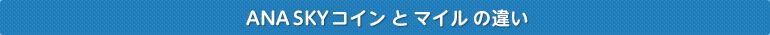ANA SKY RCƃ}C̈Ⴂ